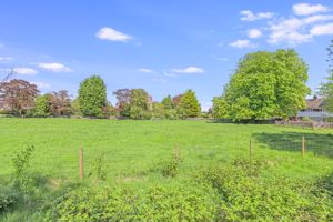 Photo 38- click for photo gallery